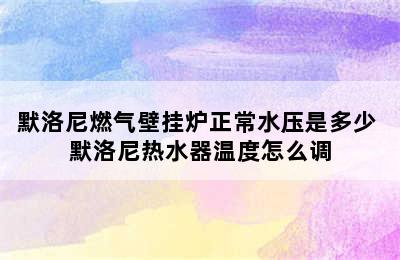 默洛尼燃气壁挂炉正常水压是多少 默洛尼热水器温度怎么调